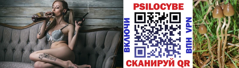 где купить   Туран  Псилоцибиновые грибы Cubensis 