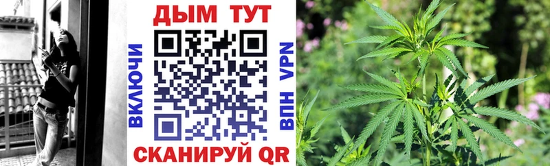 Бошки марихуана план Туран